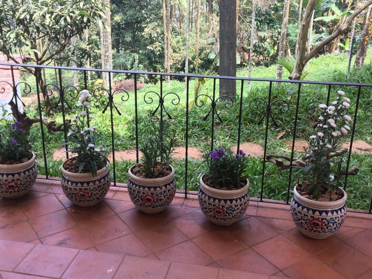 Hotel Tea Terrace Vythiri Wayanad Zewnętrze zdjęcie