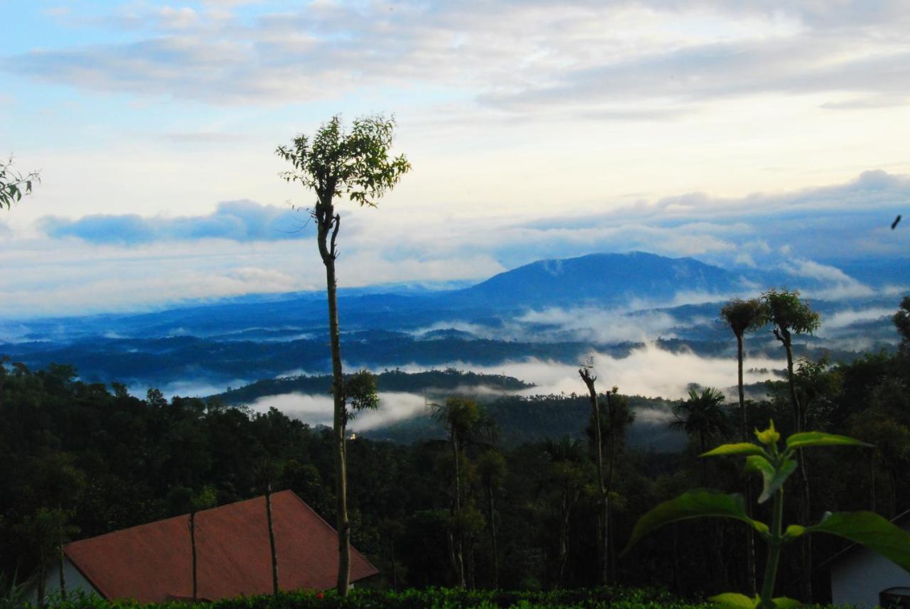 Hotel Tea Terrace Vythiri Wayanad Zewnętrze zdjęcie