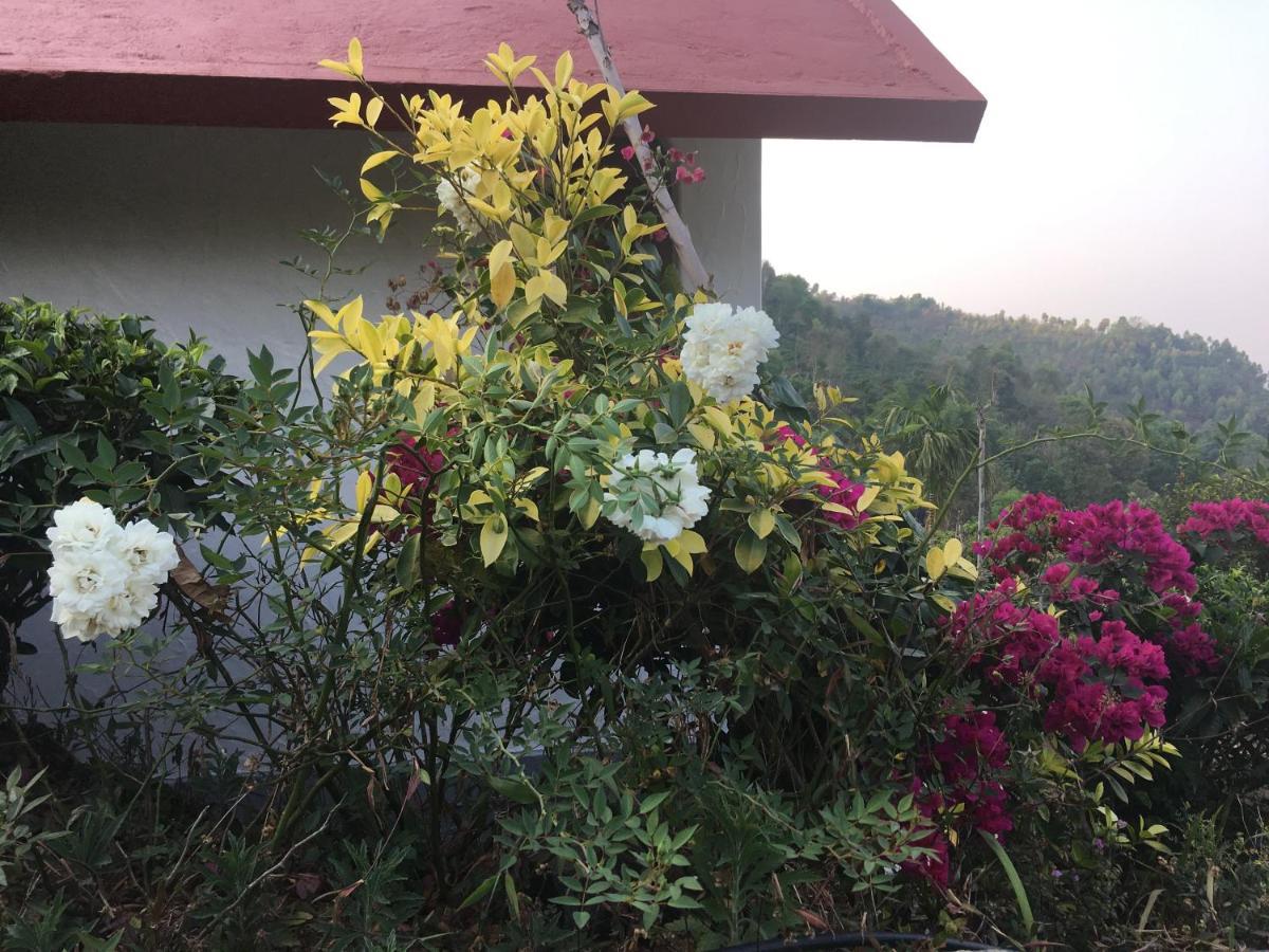 Hotel Tea Terrace Vythiri Wayanad Zewnętrze zdjęcie