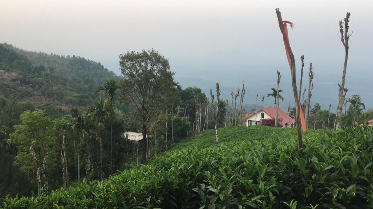 Hotel Tea Terrace Vythiri Wayanad Zewnętrze zdjęcie