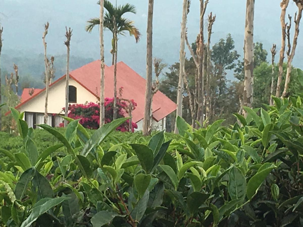 Hotel Tea Terrace Vythiri Wayanad Zewnętrze zdjęcie