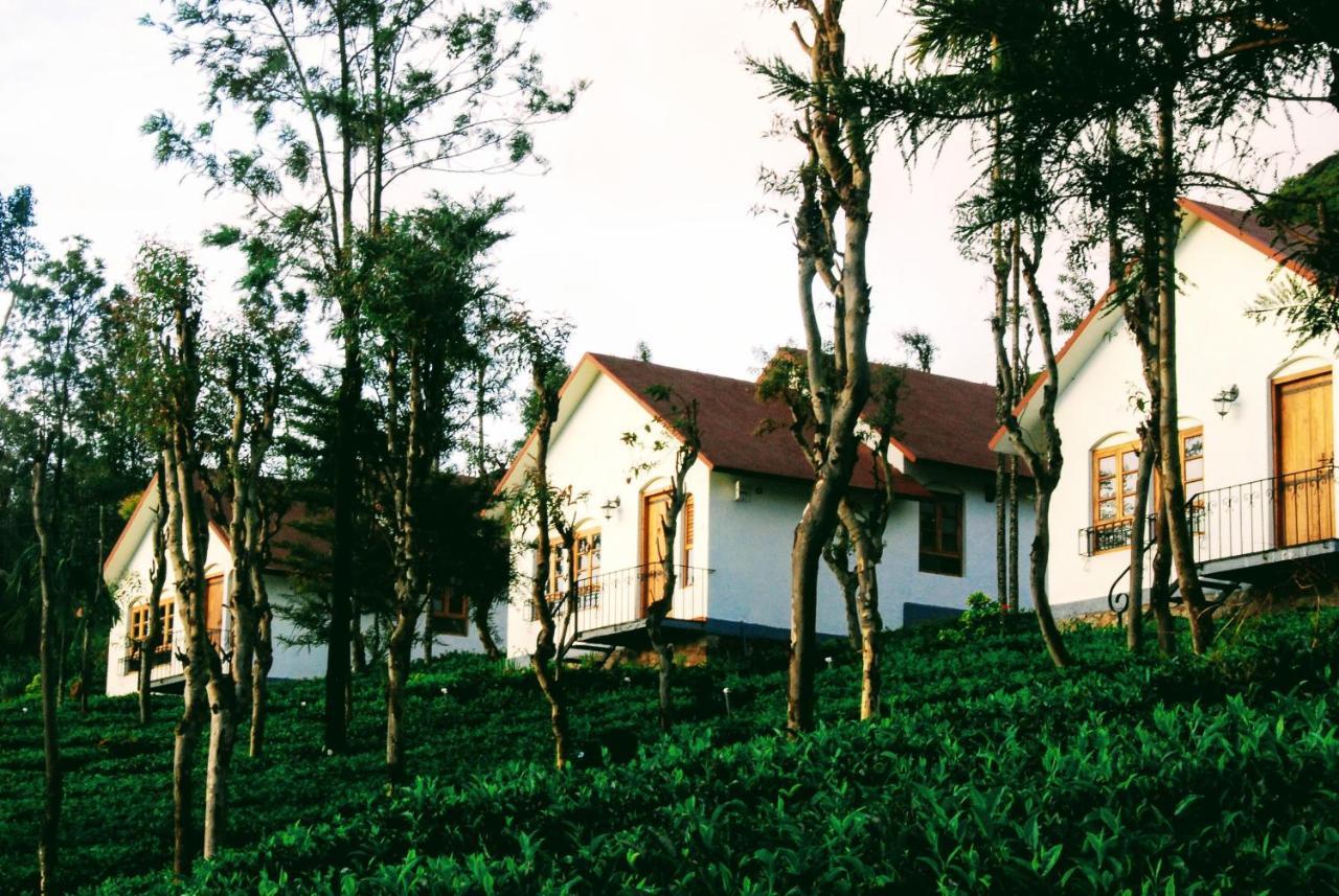 Hotel Tea Terrace Vythiri Wayanad Zewnętrze zdjęcie