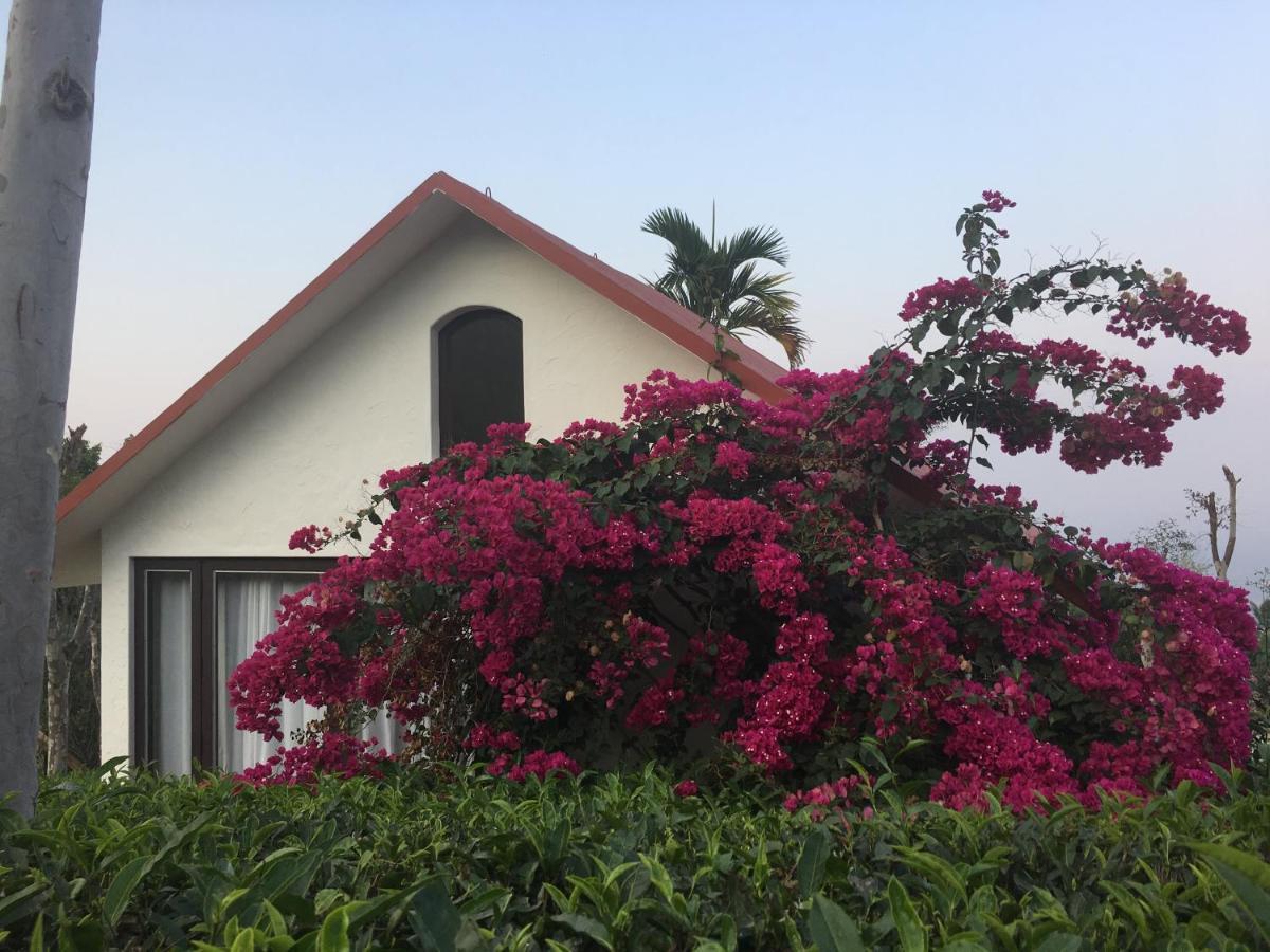 Hotel Tea Terrace Vythiri Wayanad Zewnętrze zdjęcie