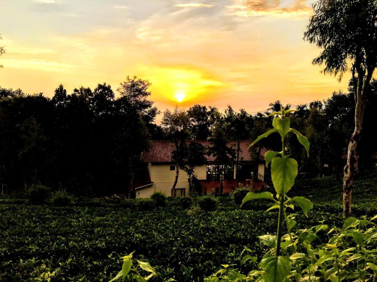 Hotel Tea Terrace Vythiri Wayanad Zewnętrze zdjęcie
