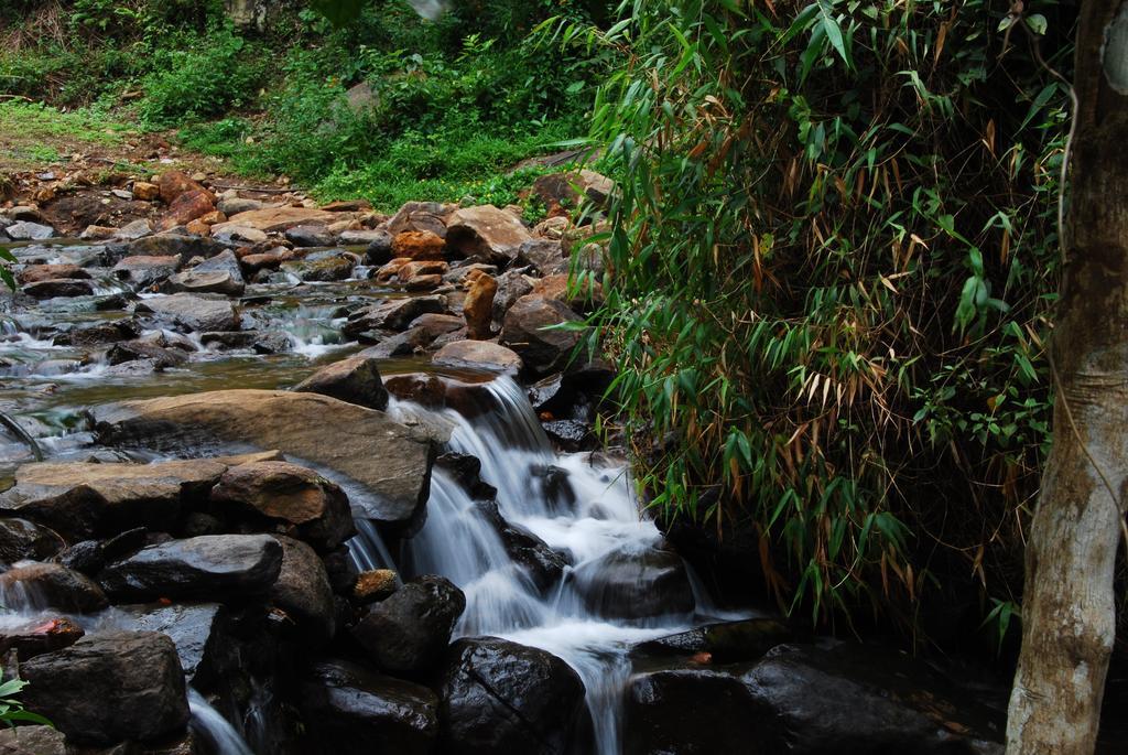 Hotel Tea Terrace Vythiri Wayanad Zewnętrze zdjęcie
