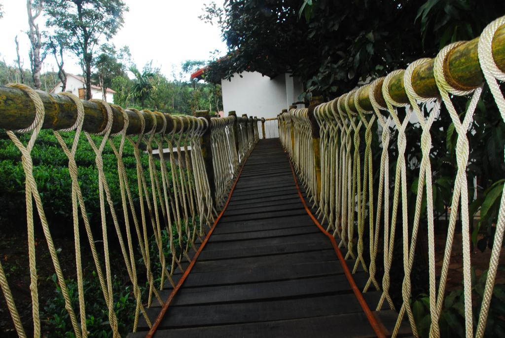 Hotel Tea Terrace Vythiri Wayanad Zewnętrze zdjęcie