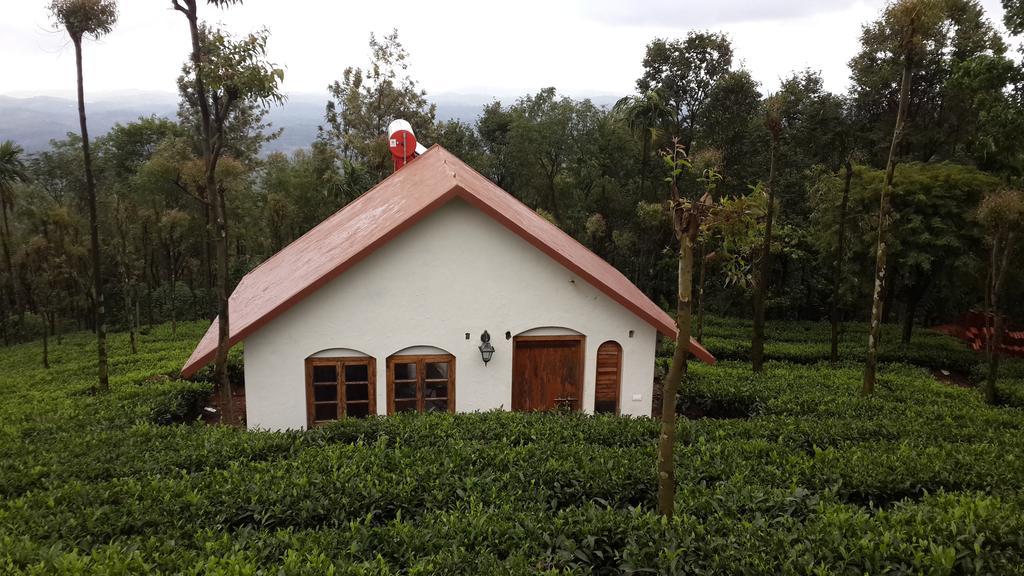Hotel Tea Terrace Vythiri Wayanad Pokój zdjęcie